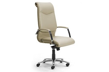 Sillones presidenciales de cuero para estudio y despachos medico-legales  Elegance